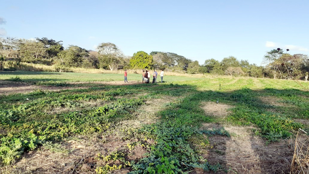 Las familias de las comunidades de San Lorenzo se dedican a la agricultura y ganadería. Foto. Radio Camoapa