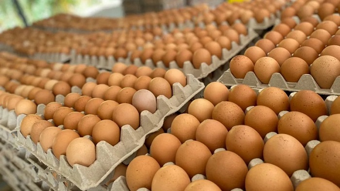 El huevo hondureño no asomará más en los mercados de la capital, ni en este fin de semana ni en los próximos días