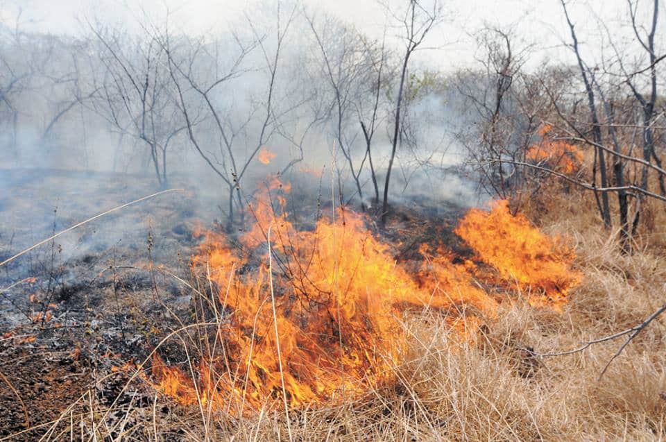 Se desconoce cuántos permisos para quemas se han extendido en Camoapa