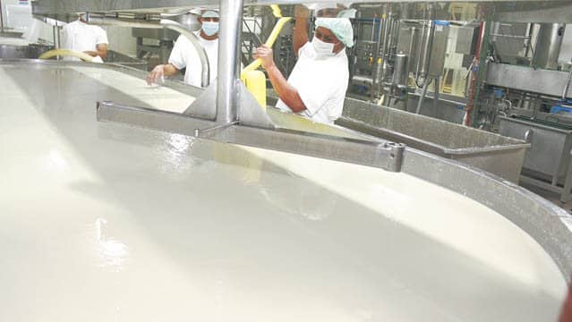 Sector lácteo genera doscientos veinticuatro millones de córdobas en exportaciones para Nicaragua