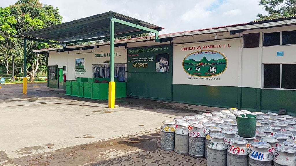 En enero 2022 iniciaron los trabajos en la ampliación de la planta de procesamiento La Cooperativa Masiguito únicamente procesaba el 80% de su producción.