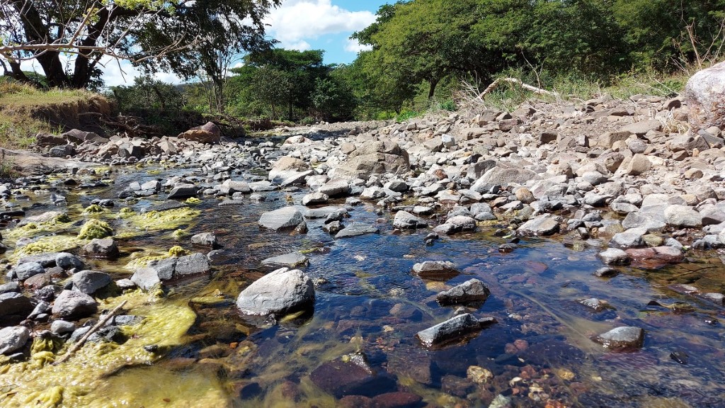 Productores de Camoapa prevén verano intenso y se apresuran a hacer silos