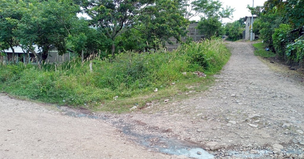 Propietarios de predios deben mantenerlos limpios según ordenanza municipal
