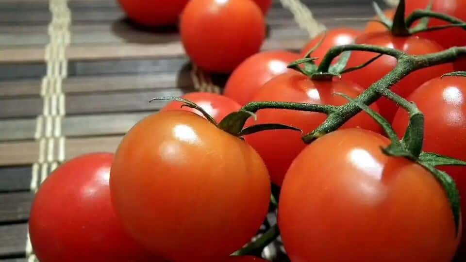 Por tercera semana consecutiva bajan el tomate y la papa, hay buenas noticias para los usuarios de Camoapa