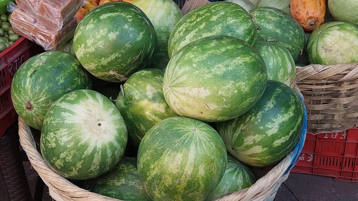 La sandía, deliciosa fruta de verano, es una oportunidad de negocio