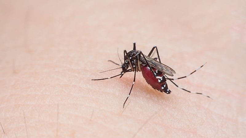 Recomienda duplicar medidas sanitarias contra el dengue en Camoapa