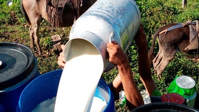 Diferentes factores han abonado al encarecimiento de los productos derivados de la leche que beneficia a productores del pais.