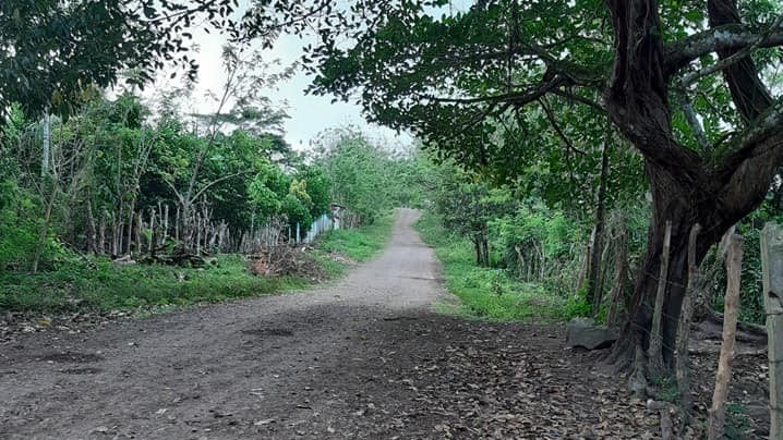 Productor se salva de milagro después de recibir machetazo en el cuello