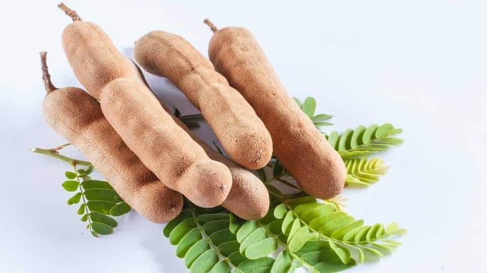 El tamarindo es una de las frutas que se cosecha específicamente en la temporada de verano. Es excelente para calmar el sofoque corporal.