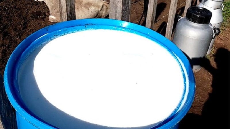Leche