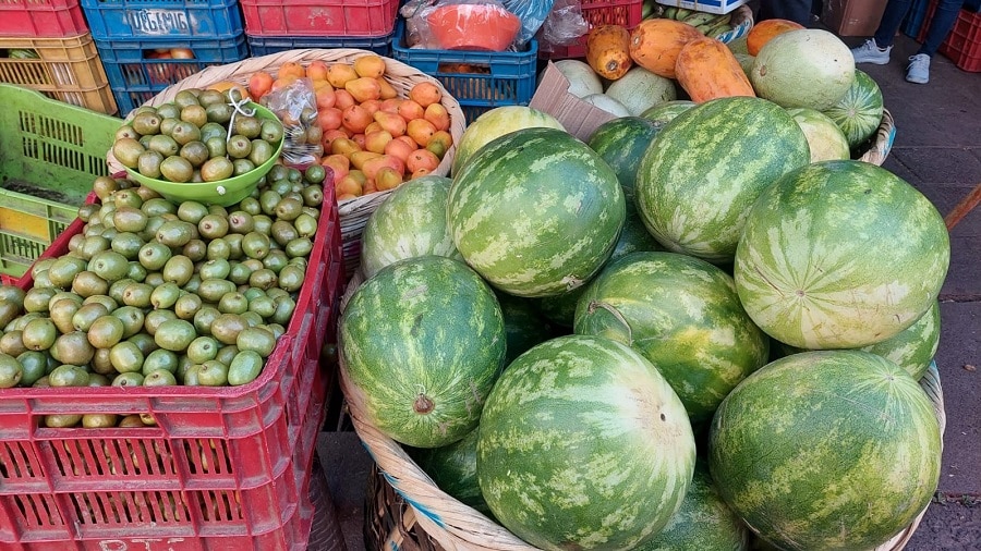 Precios del melón y la sandía son elevados en el mercado de Camoapa