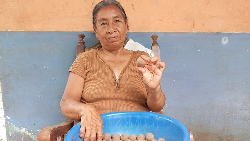 Lydia Dormus, es quizás, una de las últimas artesanas dedicadas todavía a hacer “machos”, lo heredó de su abuelita y tiene más de 50 años conservando esta tradición.