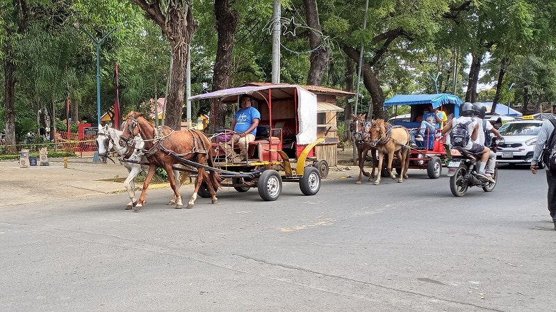 Los coches de caballos recorren la ciudad de Masaya y cuentan con estacionamiento en el mercado central Ernesto Fernández.