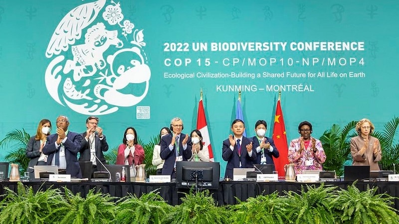 Países Llegan A Un Acuerdo Histórico Para Proteger La Biodiversidad Del ...