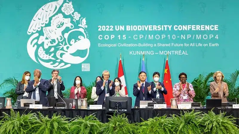 Países llegan a un acuerdo histórico para proteger la biodiversidad del planeta