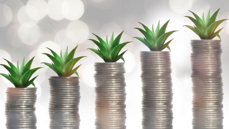 En Camoapa el 2022 fue un año para buscar la sostenibilidad económica