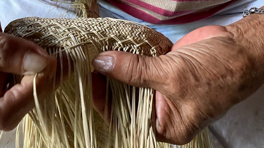 Mujeres artesanas de Camoapa emprenden elaborando “sombreros de pita” Existen más de 60 familias de artesanos que se dedican a tejer sombreros de pita, conocidos también como sombreros jipijapa.