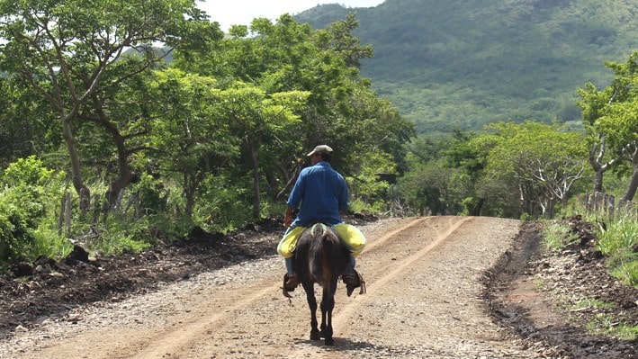 Así lucen algunos caminos rurales de Chontales, debido a la migración, ya que buen número de sus habitantes buscan el sueño americano.