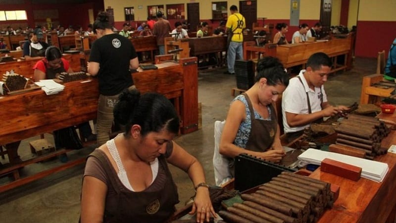 El sector de la industria del tabaco celebra su Décimo Festival del Puro que cuenta con la visita de unas 150 personalidades vinculadas a este rubro a nivel mundial.