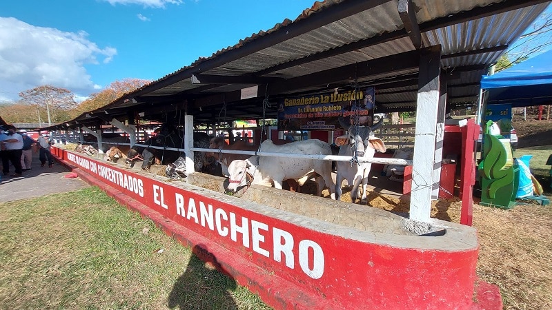 La famosa feria agropecuaria de Camoapa es un espacio para que la industria y el comercio en general se acerquen al sector productivo.
