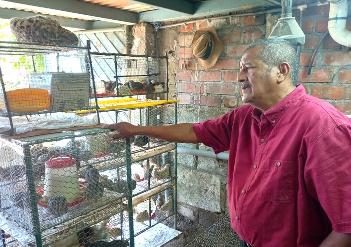 El ingeniero Lino Castro Amador, en la entrada a su granja de codorniz, en la que tiene un inventario de un poco más de 600 aves.
