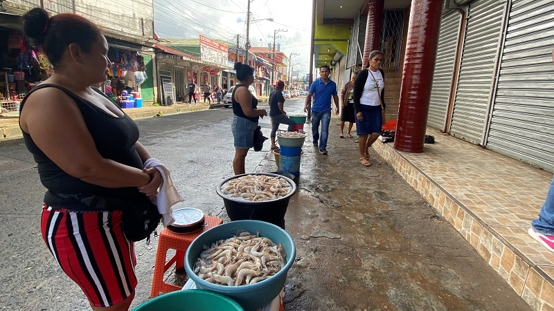 Chacalineras se observan desde muy temprano, cada día, en las principales vías del barrio Central en Bluefields, son visibles los baldes y canastos colmados de productos del mar, que se convierten en una especie de comercio alegre que invita a sus visitantes a llevar chacalines, pescado fresco y cangrejos para la famosa “Crab Soup”.