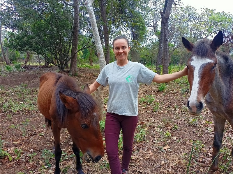 Mantienen unos 20 equinos rescatados en una propiedad de más de cinco manzanas de tierra en una comunidad rural del departamento de Granada