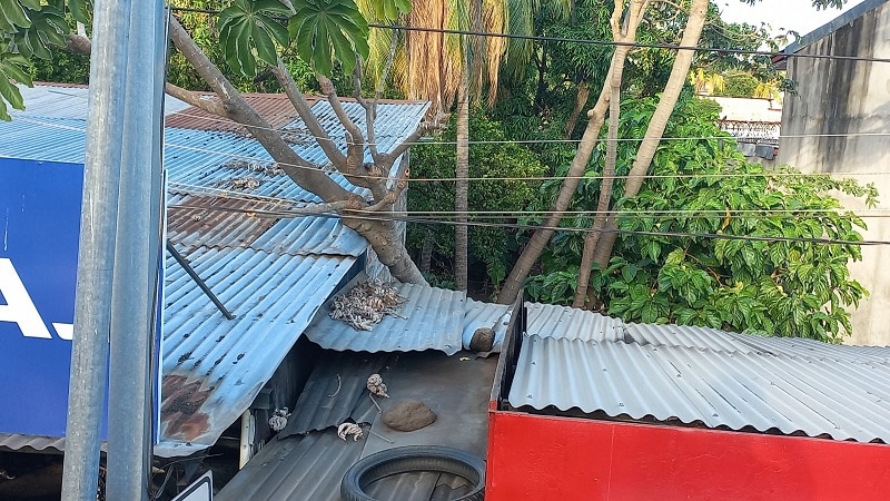 Los fuertes vientos que azotan gran parte de la región central, provocaron que un frondoso árbol cayera sobre un taller de reparación de motocicletas.