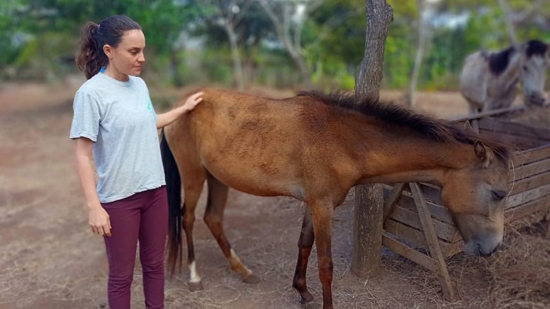 Anne Zemmour y personas voluntarias salvan y brinda refugio a equinos enfermos y abandonados