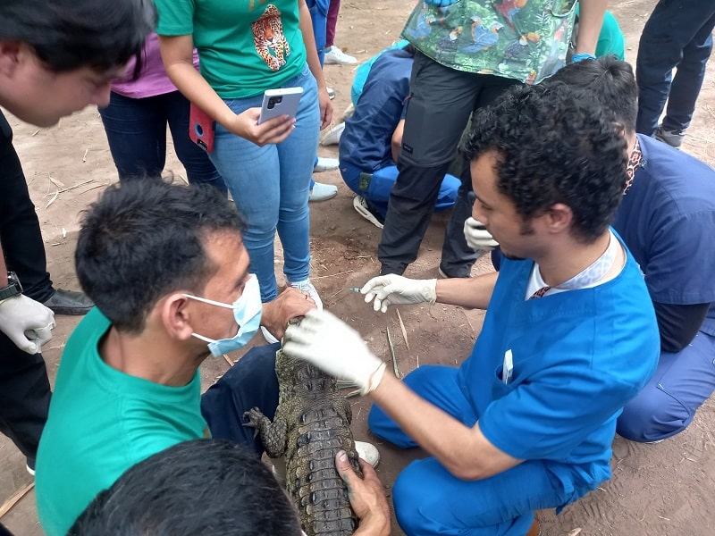 45 jóvenes veterinarios recibieron la actualización veterinaria