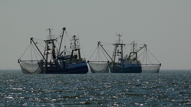 La pesca y el comercio en el Caribe no ha recuperado el comportamiento que tenían antes.