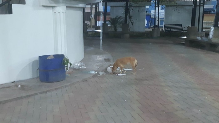 Basura en el parque de Diriamba