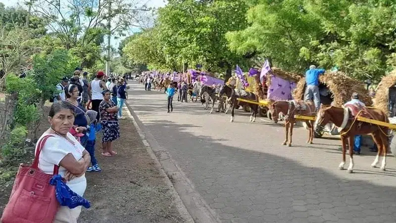 Las carretas peregrinas de Granada provienen de diferentes comarcas y de la ciudad.