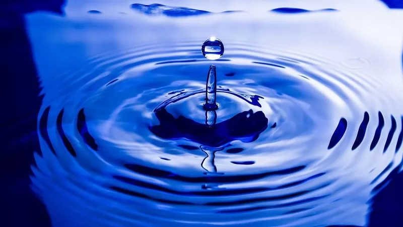 Fuentes de agua pueden ser protegidas desde el hogar