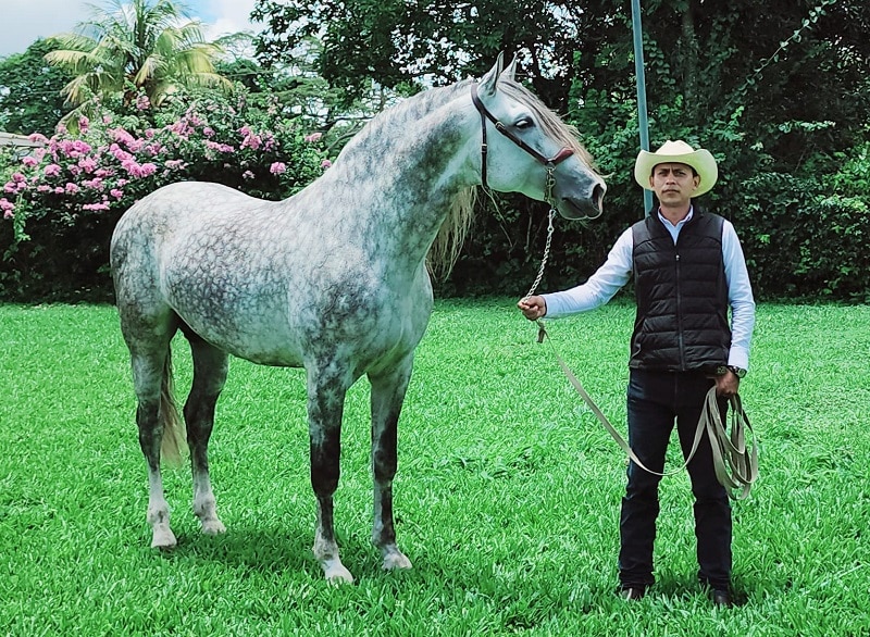 Talento y pasión por los caballos