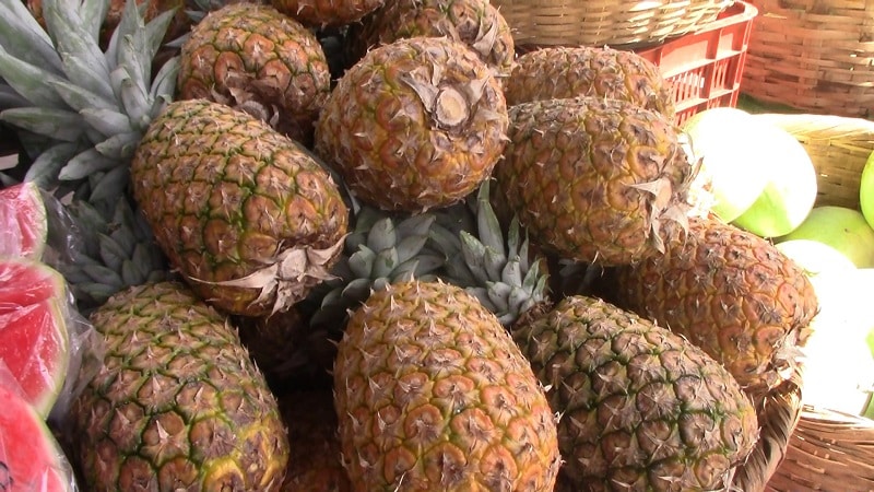 La piña tiene una alta cantidad de vitamina C, por lo que facilita la absorción de otras vitaminas y minerales y previene enfermedades cardiacas, diabetes, alzhéimer y demencia