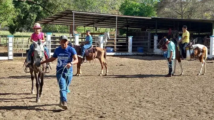 La equinoterapia es un tratamiento que usa los movimientos de un caballo para lograr las respuestas deseadas en una persona, en función de su discapacidad.