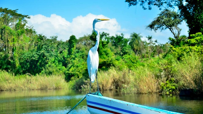 El Archipiélago de Solentiname, un sitio de historia, turismo y paisajes únicos