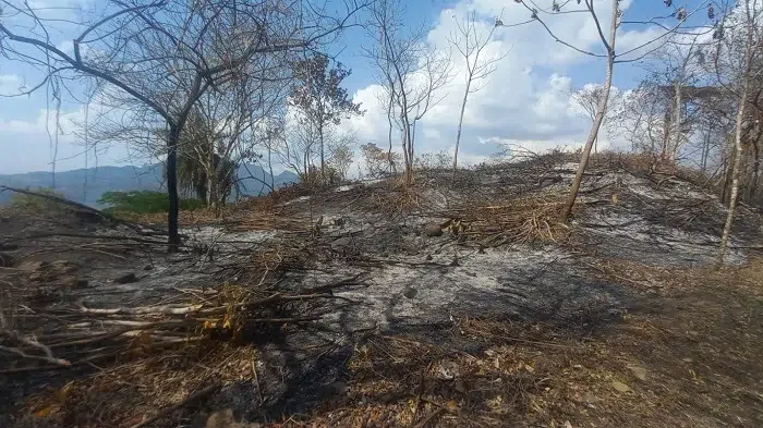 La tragedia ocurrió el pasado martes 9 de mayo cuando don José Manuel Espinoza de 82 años salió a tratar de controlar una quema en uno de sus poteros.