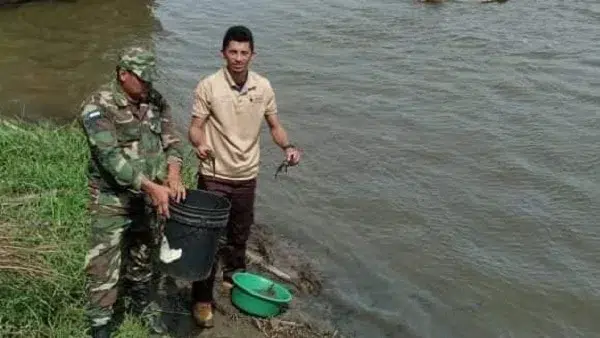 Liberan 40 crías de cocodrilos en un área protegida del Río San Juan