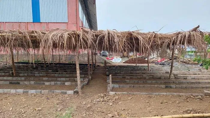 Establecer un vivero a gran escala requiere de cuidados y gran inversión