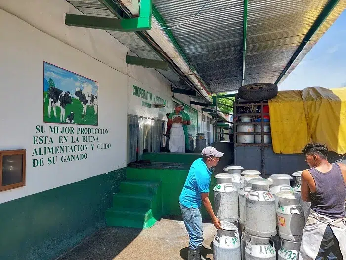 Rutas que trasladan la leche al acopio ubicado en Rancho Rojo, Camoapa