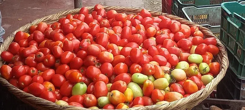 Venta de tomates en el mercado de Juigalpa