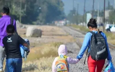 En México, las solicitudes de refugio han descendido un 46% en 2024