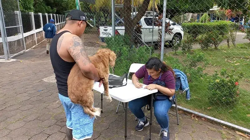 Realizan jornada de desparasitación canina en Juigalpa