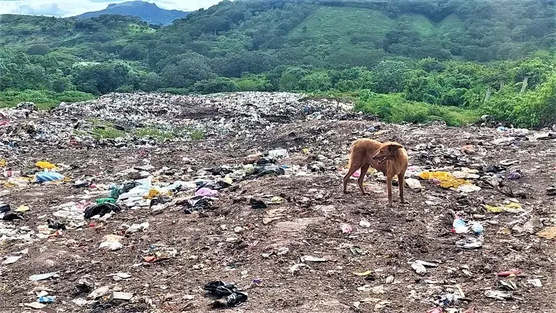 Espacio de vertedero municipal de Camoapa se reduce debido a la acumulación de basura