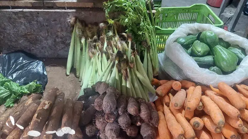 Alta demanda en la venta del chilote en el mercado local de Camoapa