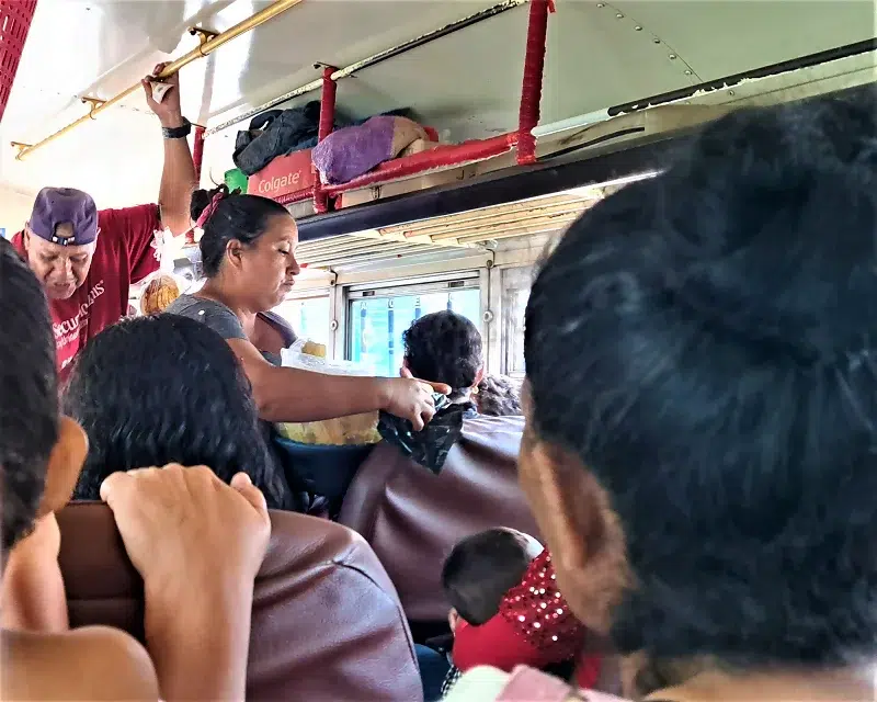 La salida del maíz nuevo está permitiendo empleos temporales con la venta de elotes en las unidades de buses.