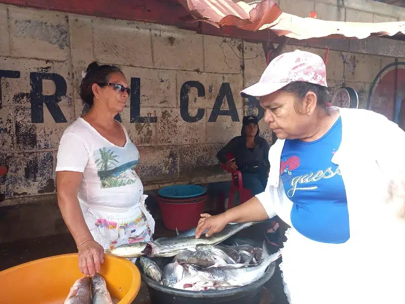 El pargo se encuentra escaso y con alto precio en los mercados de Carazo.