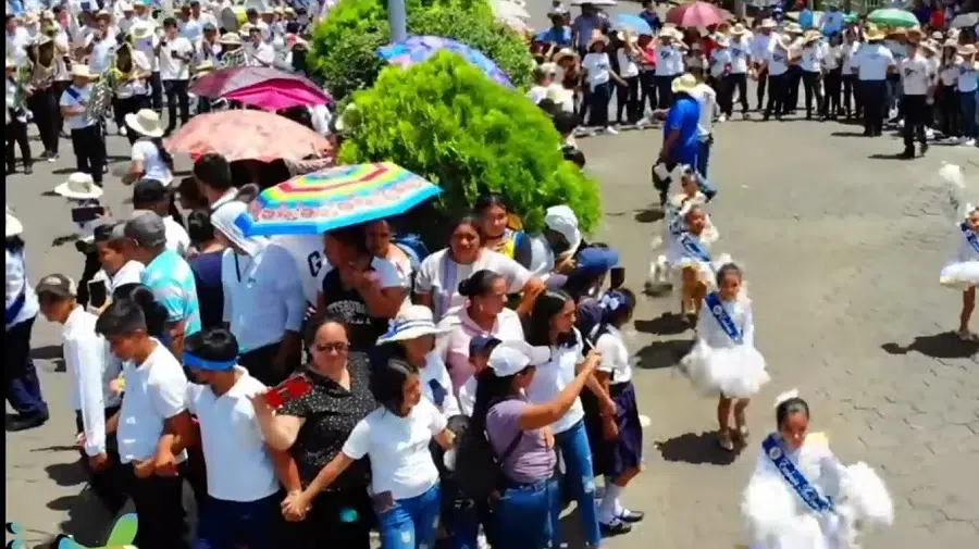 Así se observaba el árbol de ciprés el pasado 14 de septiembre, durante las fiestas patrias.